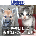 NPO法人犬と猫のためのライフボート〜手を伸ばせば救えるいのちがある〜