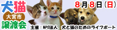 8月8日日曜日に大宮市で犬と猫の譲渡会開催