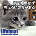 NPO法人犬と猫のためのライフボート〜子犬子猫の里親募集中〜