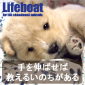 NPO法人犬と猫のためのライフボート～子犬子猫の里親募集中～