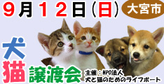9月12日日曜日に大宮市で犬と猫の譲渡会開催